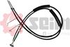 554950.JPG