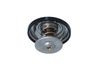 Termostat, chladivo 725216