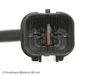 ADC47019_3.JPG