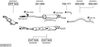SYS07217.JPG