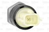 SENSOR_OIL_PRESSURE_255103_03.JPG