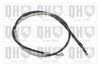 QH_BC4115.JPG