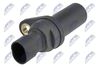ECP-AR-012_2-WM.JPG