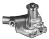 WT-050 01.JPG