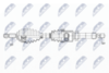 NPW-RE-149_9-WM.PNG