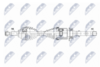 npw-fr-204_9-wm.PNG