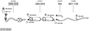 SYS13020.JPG