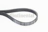 BELTPIC_5PK705 ELAST.JPG