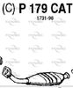 P179CAT.JPG