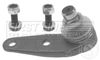 FBJ5182_206656.JPG