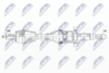 NPW-VV-145_9-WM.PNG