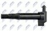 ECZ-PE-008_3-WM.JPG