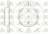 6589-10-MODEL.BMP