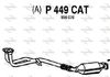 P449CAT.JPG