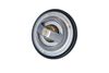 Termostat, chladivo 725100