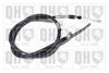 QH_BC3570.JPG
