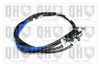 QH_BC3622.JPG