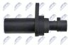 ECP-AR-012_3-WM.JPG