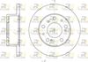 6169-00-MODEL.BMP