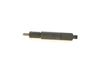 Bosch Nozzle and Holder Assembly 0986430352