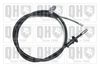 QH_BC3679.JPG