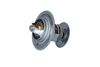 Termostat, chladivo 725214