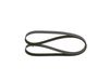 Bosch V-Ribbed Belt 1 987 946 294 (1987946294)