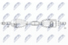 NPW-PL-093_9-WM.PNG