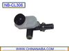 CL306.JPG