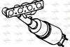 P141CAT.JPG