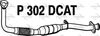 P302DCAT.JPG