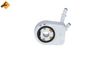 NRF Oil Cooler, engine oil 31321
