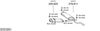 SYS13291.JPG