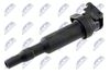 ECZ-BM-000_2-WM.JPG