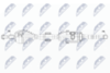 NPW-FR-107_9-WM.PNG