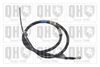 QH_BC3338.JPG