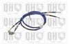QH_BC3651.JPG