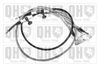 QH_BC3994.JPG