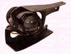 34510281.JPG