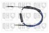 QH_BC4118.JPG