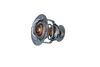 Termostats, Dzesēšanas šķidrums NRF NRF725119