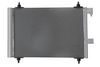 366222751_BACK_TD_1.JPG