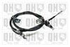 QH_BC3990.JPG