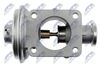 EGR-BM-003_4-WM.JPG