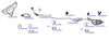 OP-EXSVG188_20260529081633.JPG