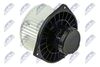 EWN-MS-002_2-WM.JPG