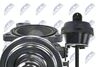 EGR-AU-000_5-WM.JPG