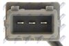 ECP-PL-043_3-WM.JPG