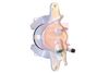 APEC Brake Caliper RCA383N