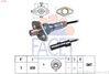 10.7248-FA.JPG